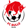 https://img.wdbsyxdyf.cn/img/football/team/b201265fa89720bf8cd8ef95549a4738.png